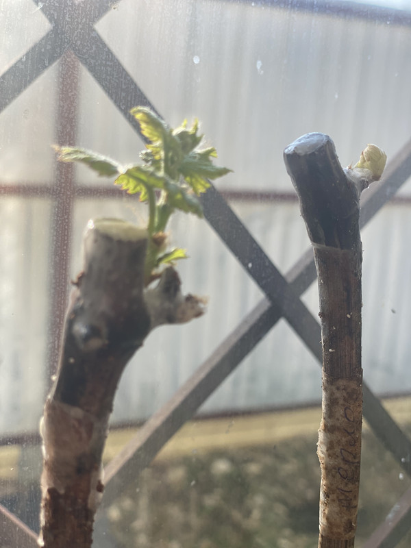 C856375B-5C43-4FE1-9501-6B7F6734500C