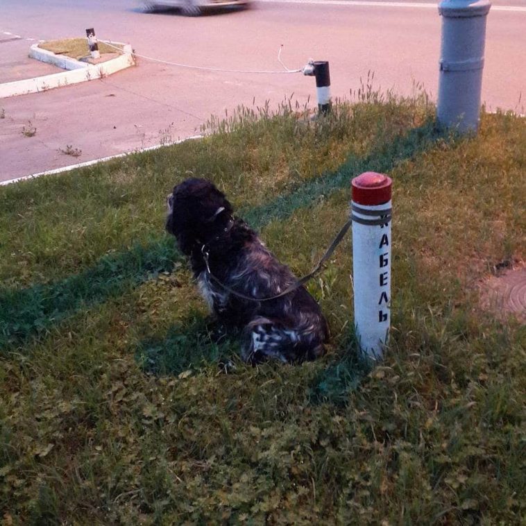 15 человек, которые поняли все ну слишком буквально