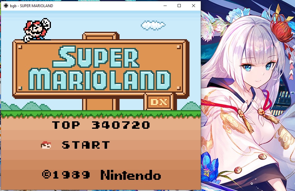 Marioland-DX02.jpg