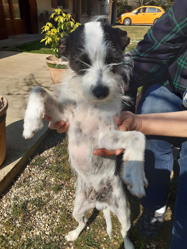 [Image: 20220324-142542.jpg]