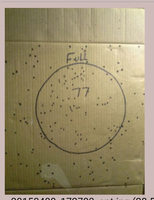 Screenshot_20230316_191504_DuckDuckGo