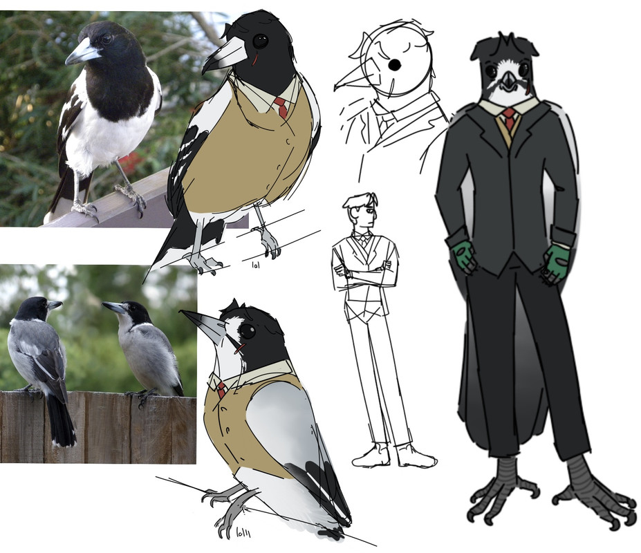 various photos and drawings of a Pied Butcherbird. the drawings all have some of Cherrys outfit and features. there are also multiple drawings of Cherry as a more anthro furry butcherbird.