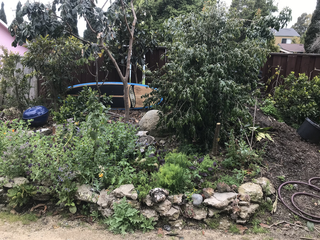 773C0FA7-CBD3-4467-B2F9-93D6D963EACD