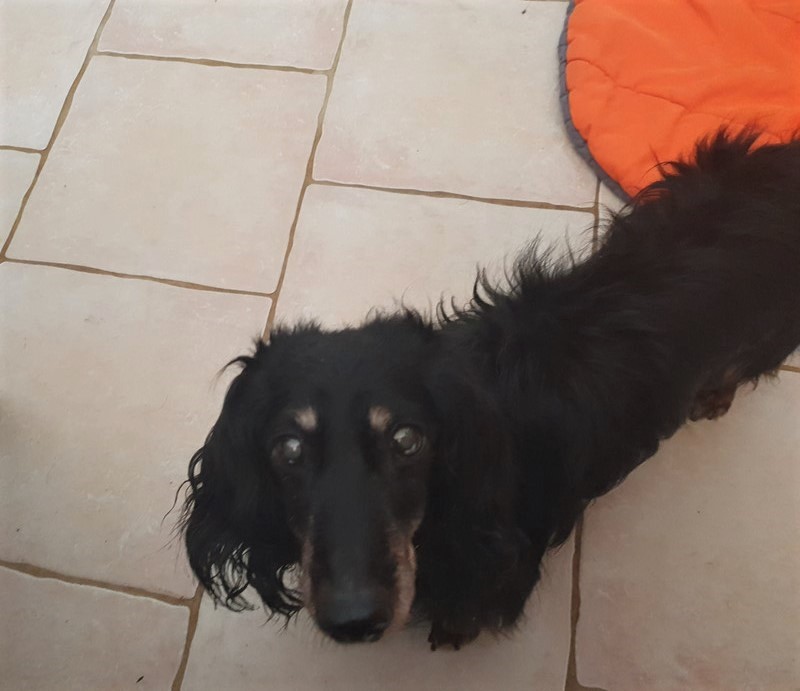 [Image: 20220716-100543.jpg]