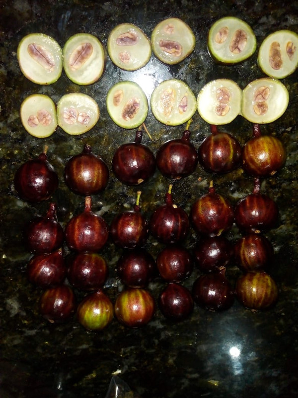 WhatsApp Image 2020-12-20 at 00.10.49 (29)