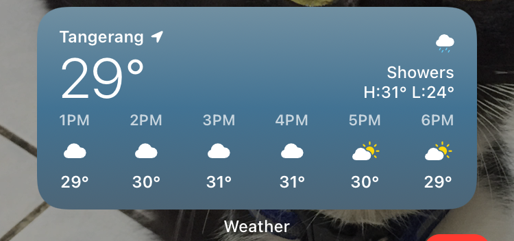 what the heck is wrong with the weather widget : r/ios