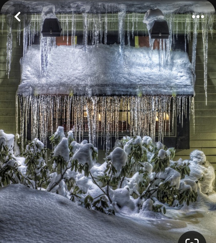 Screenshot_20230904_230821_Pinterest