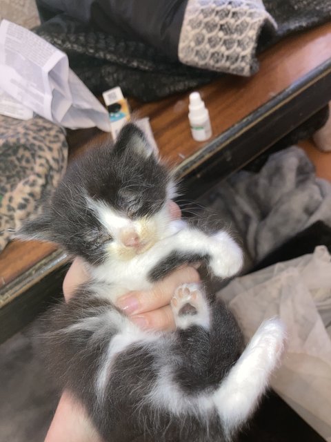 BEED2064-B7C0-47FE-AC3C-56CED999BAEB