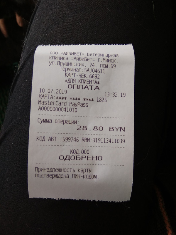 прививки котят