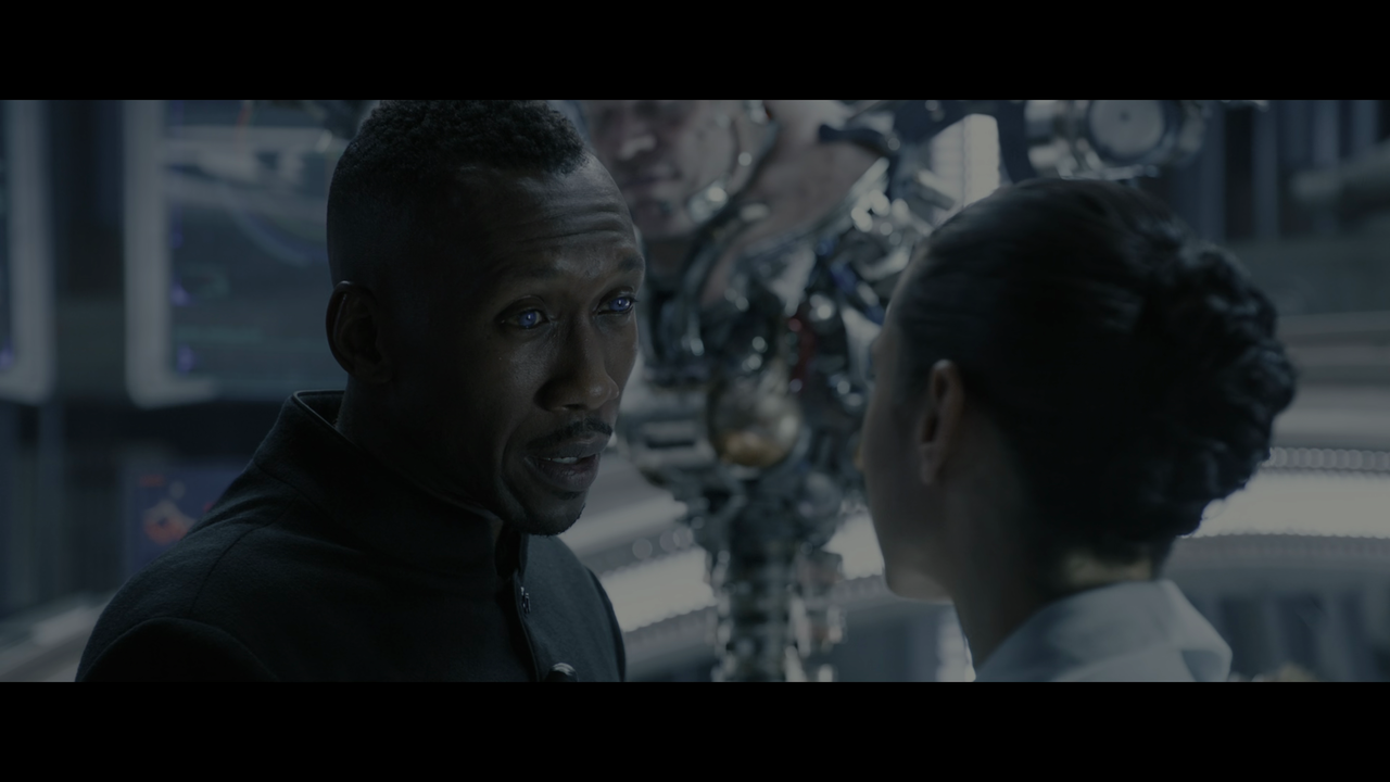 vlcsnap 2026 03 02 21h46m44s243