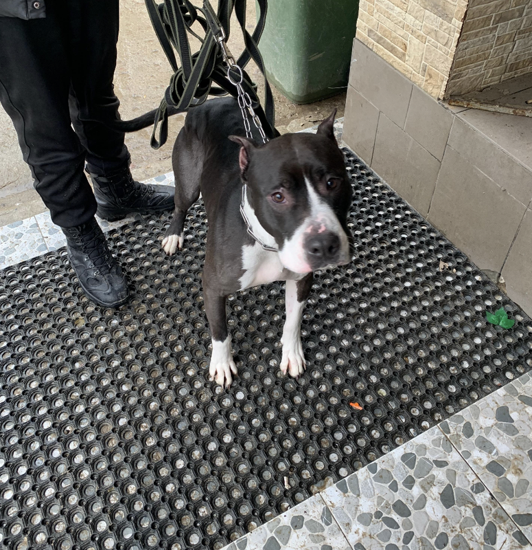 Снимок экрана 2025-03-06 в 18.30.43