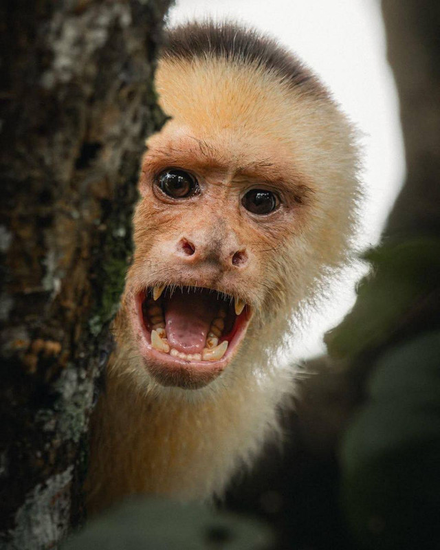 photo 2025 12 29 08 14 01