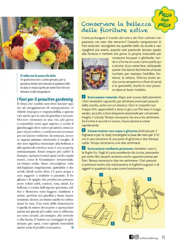 Pol Ver Ago 2023 (2)