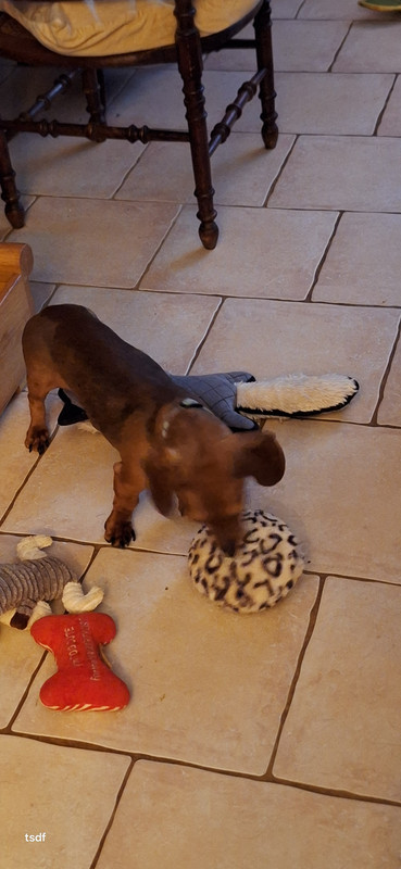 [Image: 20250628-163828.jpg]