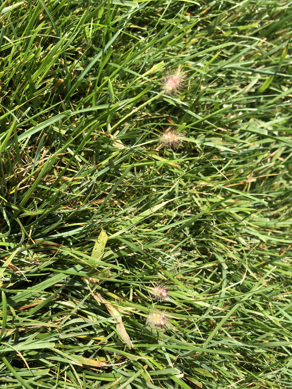 9B7C898C-65A6-492E-90E4-B9034DC833B0