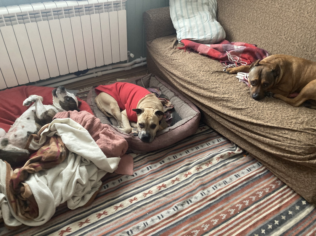 F50EB508-5434-4138-B696-C439436789E9