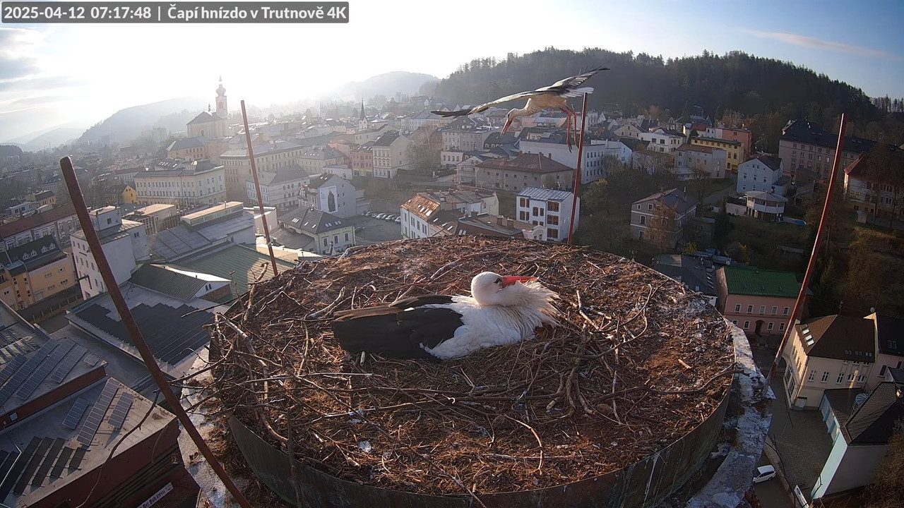 Tiešraidē no stārķa ligzdas uz alus darītavas skursteņa Trutnovā 9-30-47 screenshot
