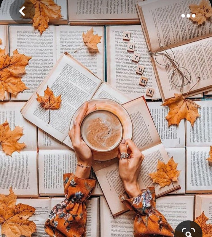 Screenshot_20231031_215537_Pinterest