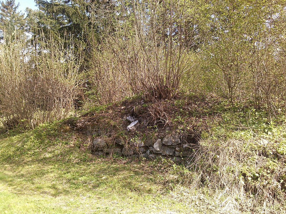 vielleicht Burgreste