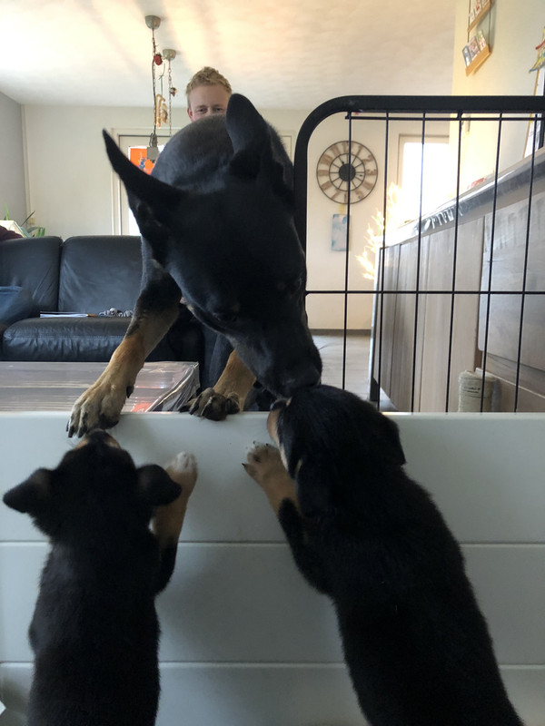 76F46B87-2C15-4C83-A391-1183910E96B7