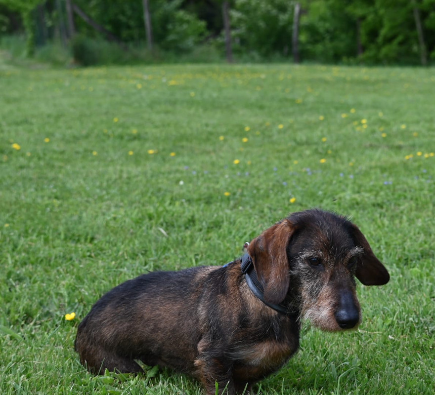 [Image: IMG-20250501-WA0021.jpg]