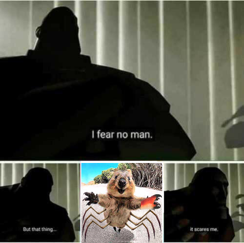 lg92meme23.png