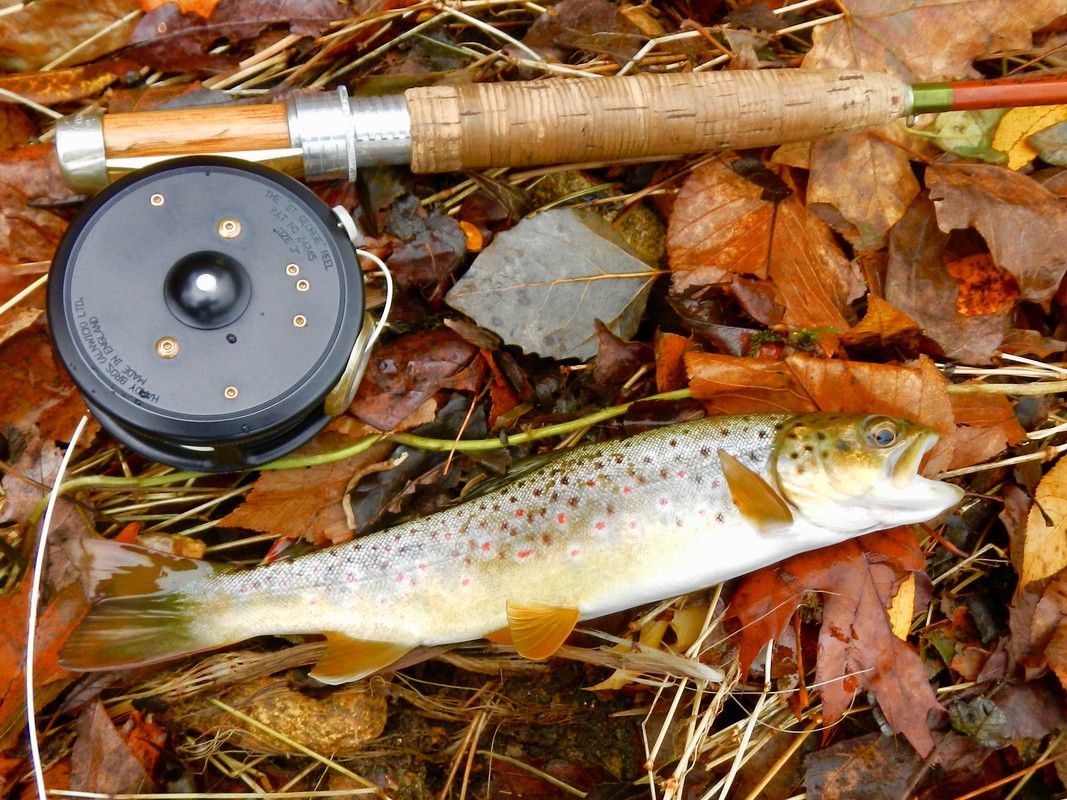 555FDF94-4244-4CE6-A856-19434696B508