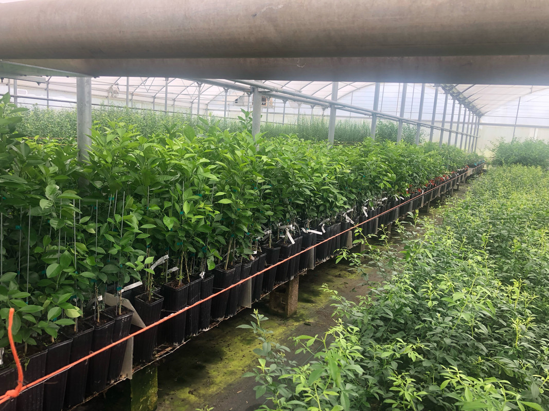 CD41161B-4DFB-4CB6-A342-B0ADA2255E8F