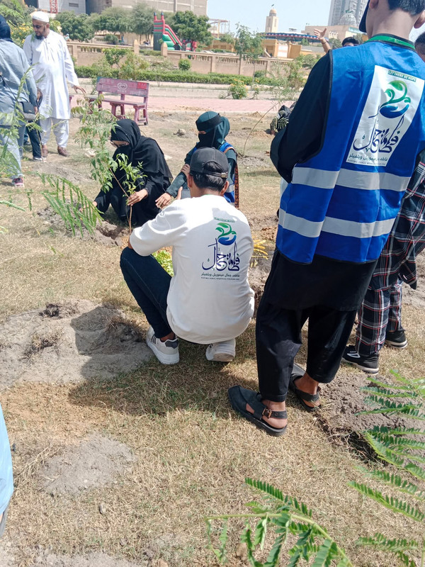 Community tree plantation drive and sapling care