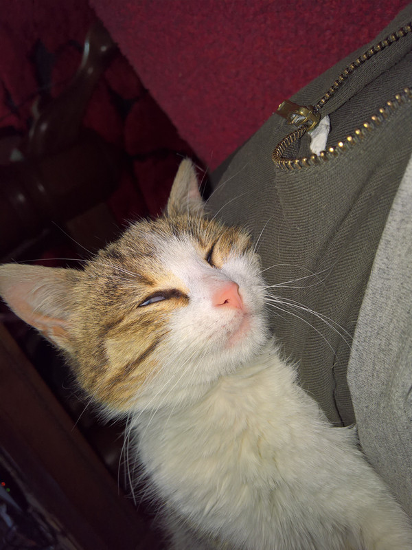 WP_20210306_20_57_28_Pro (2)