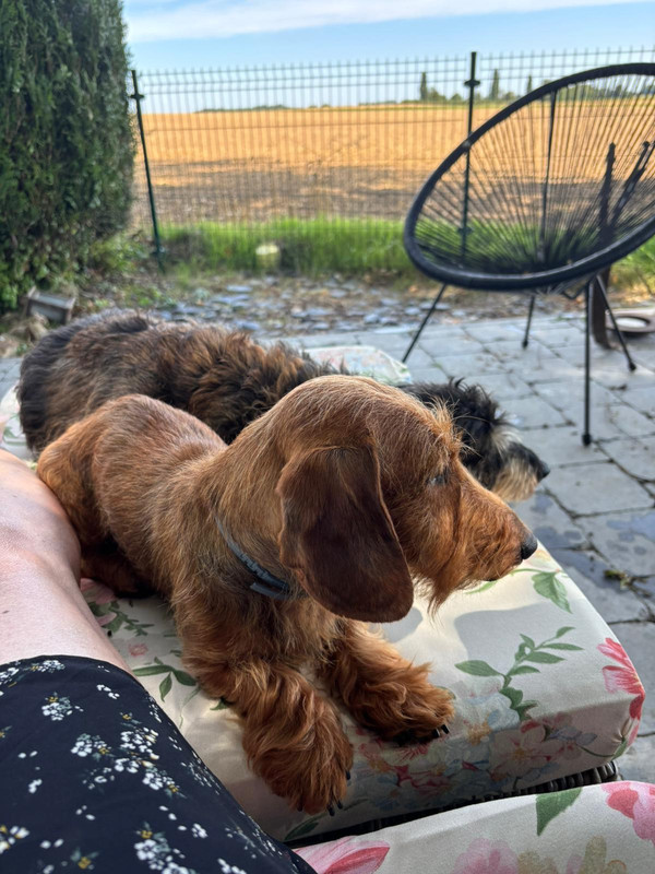 [Image: IMG-20250819-WA0006.jpg]