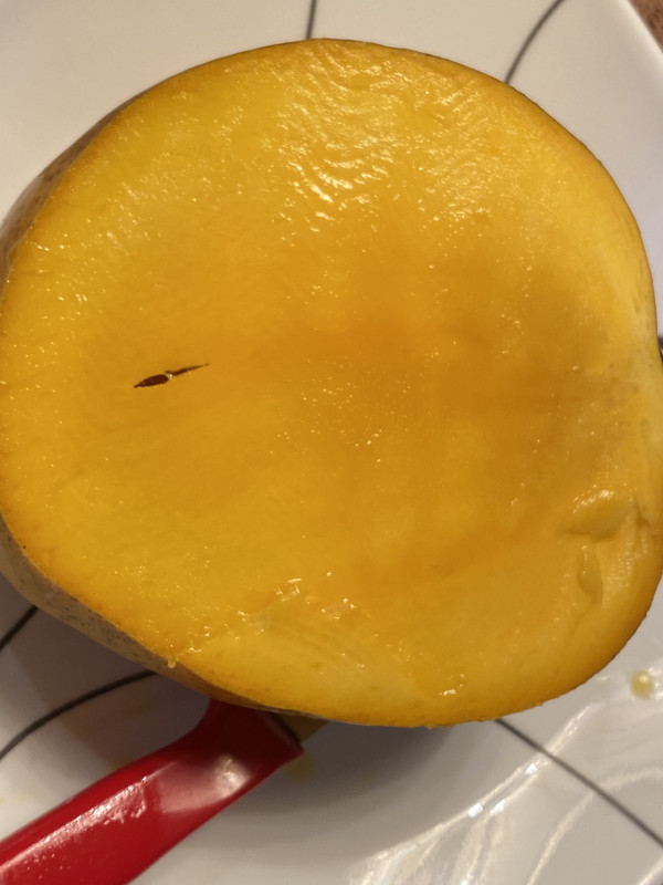 4AC0430B-A0D8-45BF-B3FE-2221DFE79C9A