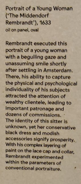 Escapada por Amsterdam - La Haya - Delft - Rotterdam - Leiden - Londres - Blogs de Europa - Museo Mauritshuis, decepcionante Depot Boijmans y callejeo por Delft y Leiden (154)