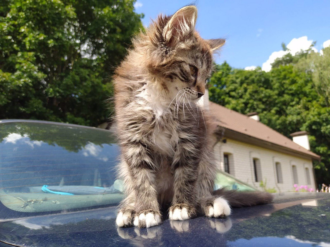 8544E128-10C9-4C69-9AEF-35C15EBED2FD