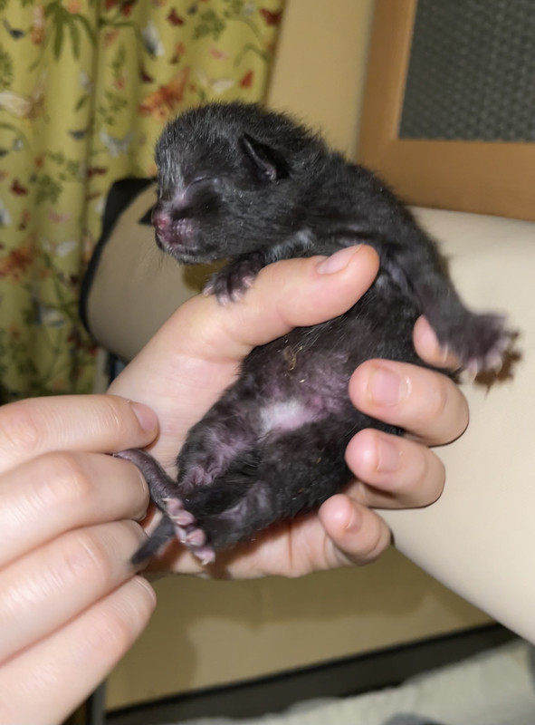 8786DC6B-FA92-4D38-B3D4-C30FA478FCAD