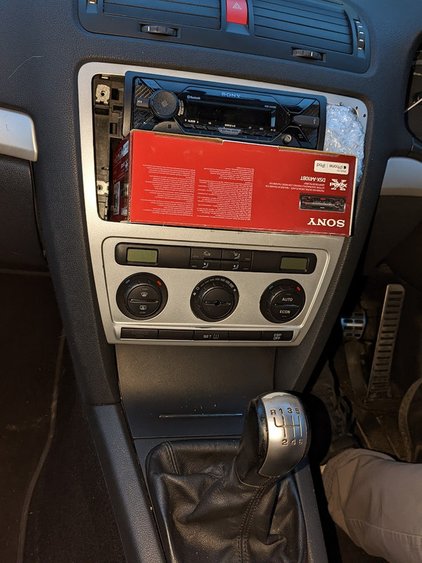 PXL_20230325_185035476 (1)