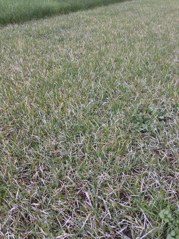 793505F2-20ED-415D-B09B-1181AF664FFA