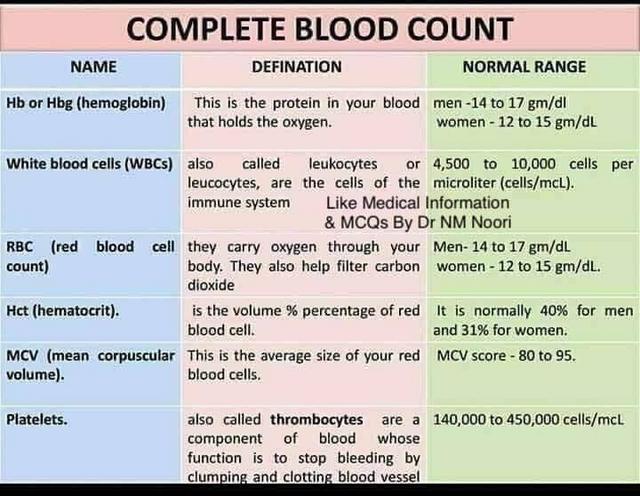 [Image: CE2-A5-ECD-2799-413-A-A089-64084-E0-BC870.jpg]