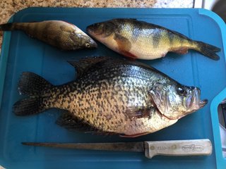 A75BCC17-361F-4C89-B1AF-7CC9F2F579F3