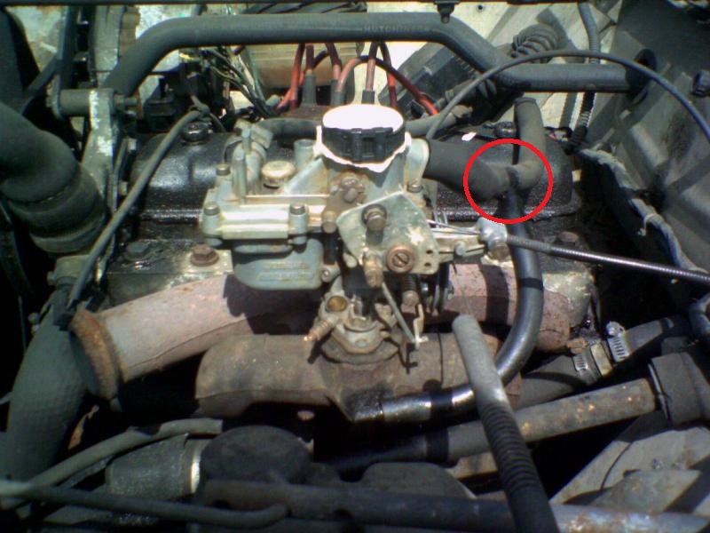 58.jpg.6de10a7d88647e020ba77b028462e1e2