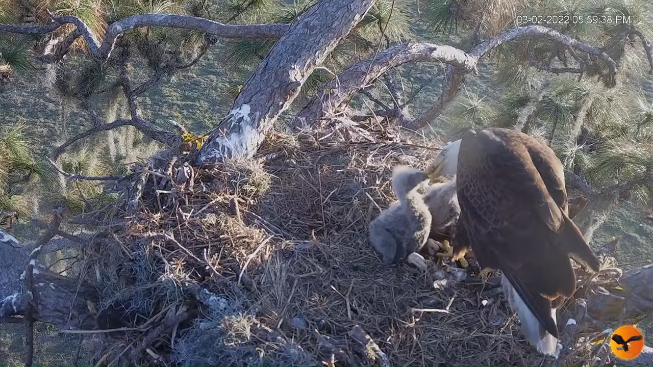 EC 4K Overhead Cam 3-6-36 screenshot