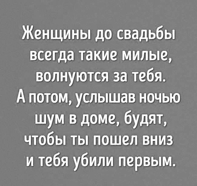 [Изображение: photo-2025-07-28-17-22-57.jpg]