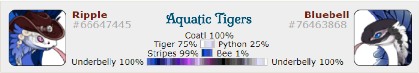 Aquatic-Tigers.png