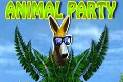 Stacks O ’Gold Слоты