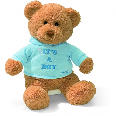 G015418-Message-Bear-Its-A-Boy-12-5-inch-450x450.jpg