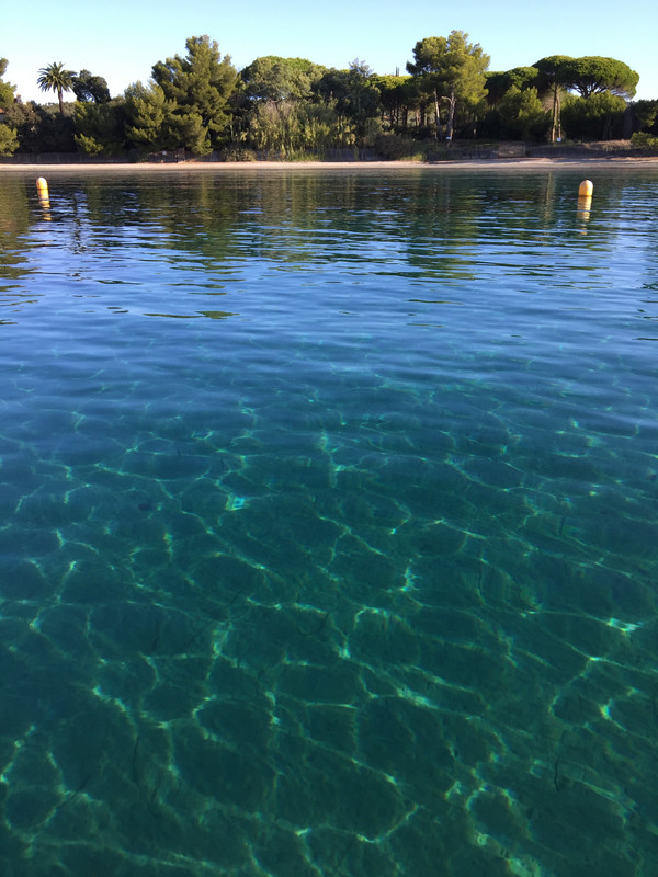 4DBA0654-77F9-4838-9735-87AC4CF9C1A3