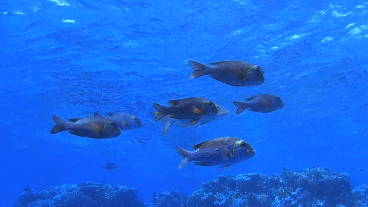 vlcsnap-2023-12-21-21h59m45s702