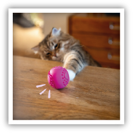 Site-Web-vignette-Instagram-Pop-ball