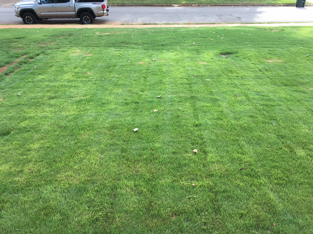 BEDD2A16-E388-4DE5-BC62-6032325DF146