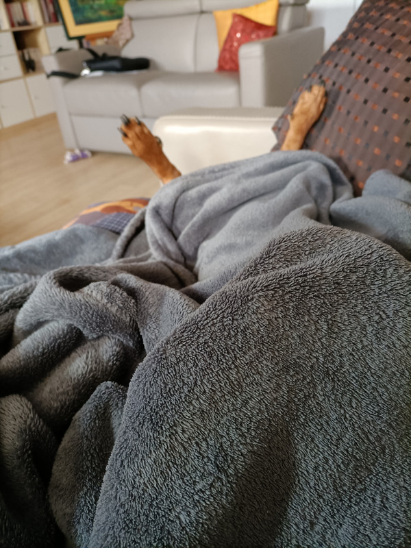 [Image: IMG20211122152258.jpg]